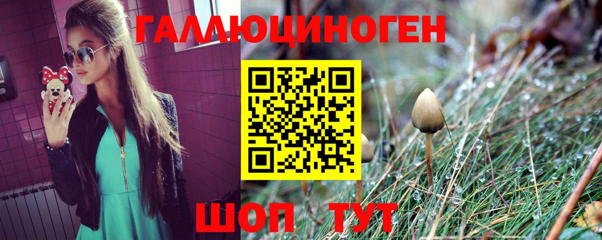 Псилоцибиновые грибы GOLDEN TEACHER Менделеевск